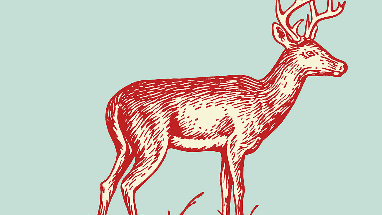 Minimal Folk - Sarao Music