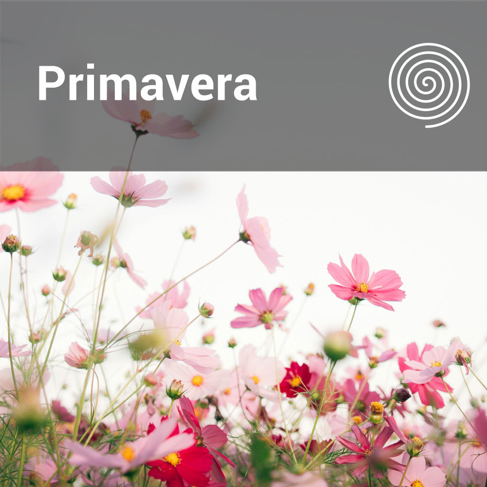 Primavera
