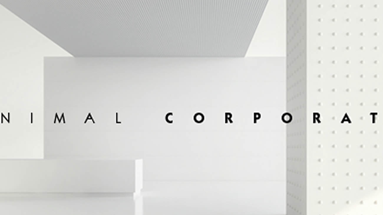 Minimal Corporate