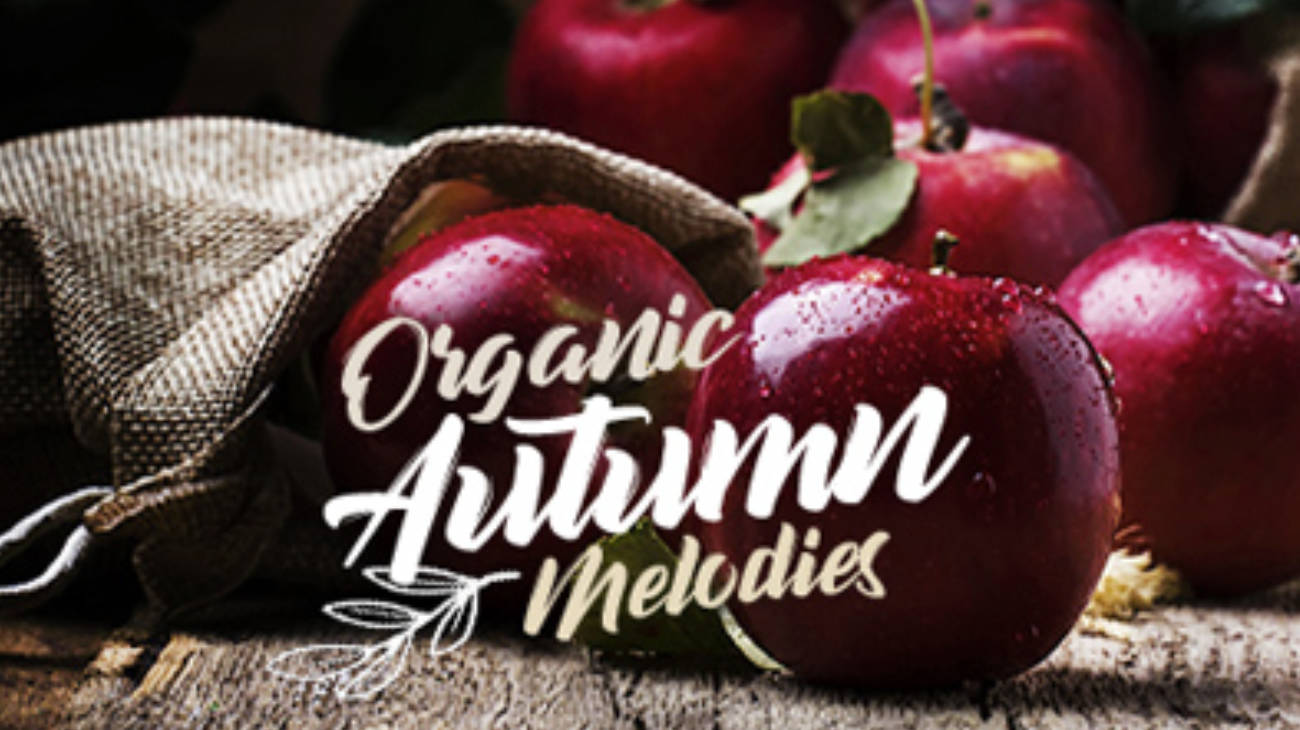 Organic Autumn Melodies
