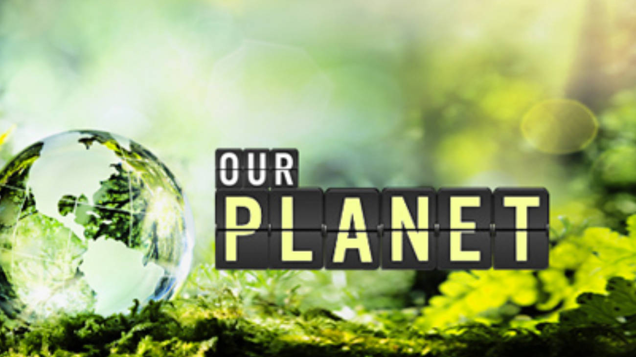 Our Planet: La Tierra te pide ayuda